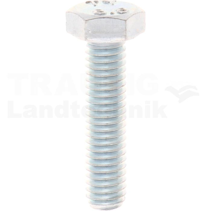 VPE100 Sechskantschraube  M6x25 DIN 933