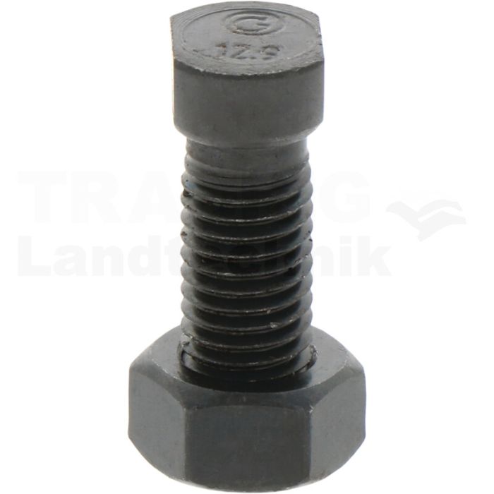 Pflugschraube M12x38-12.9