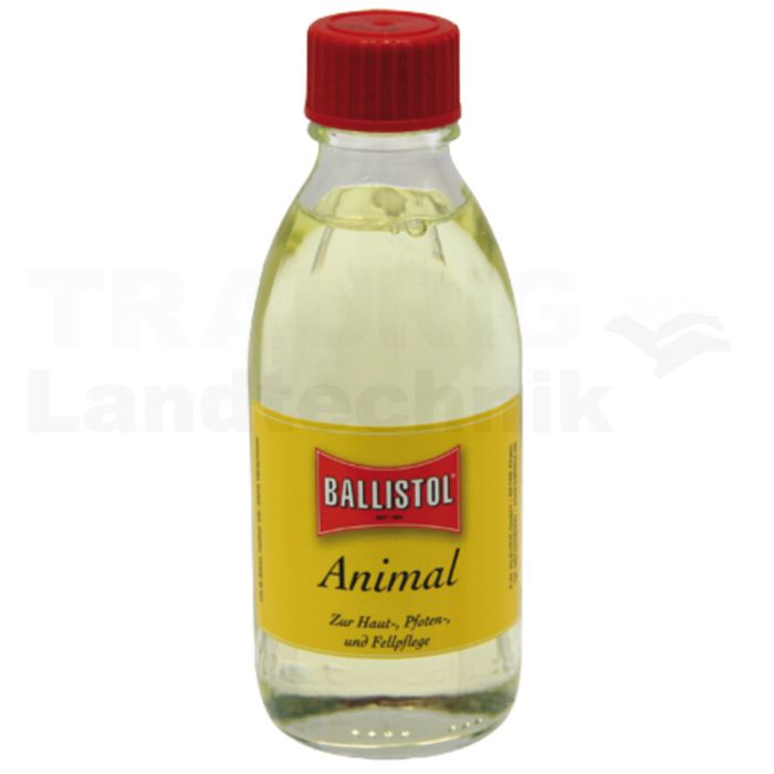 Animal
