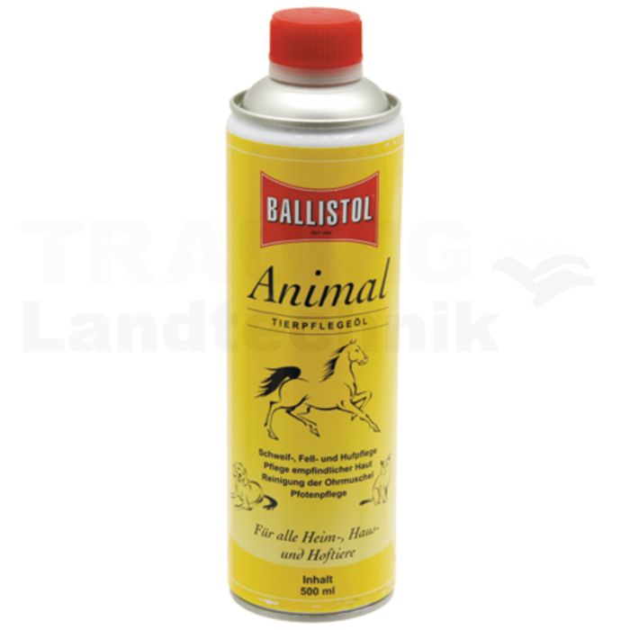 Animal