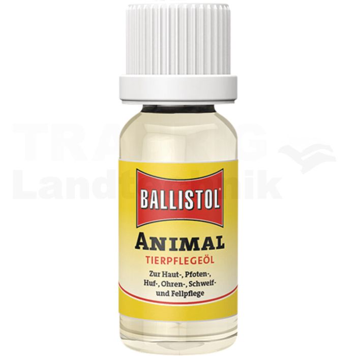 Animal
