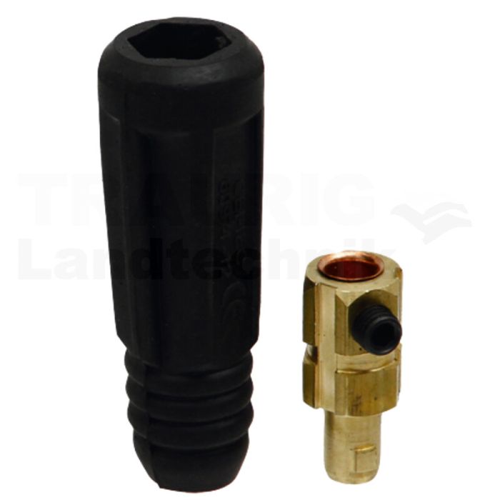 Stecker Stecker