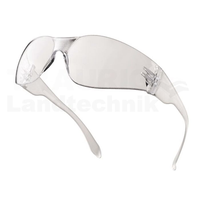 Schutzbrille