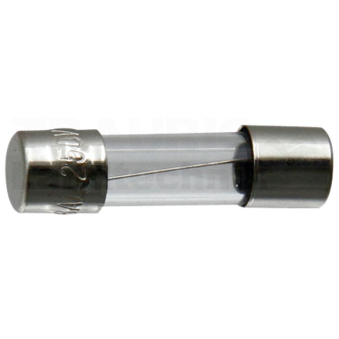Glassicherung