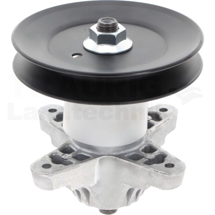 Messerspindel Messerspindel