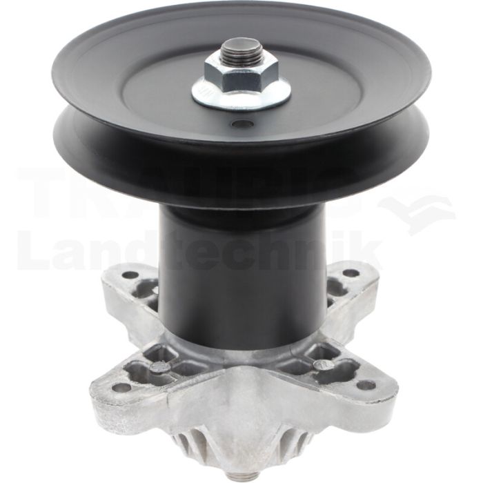 Messerspindel Messerspindel