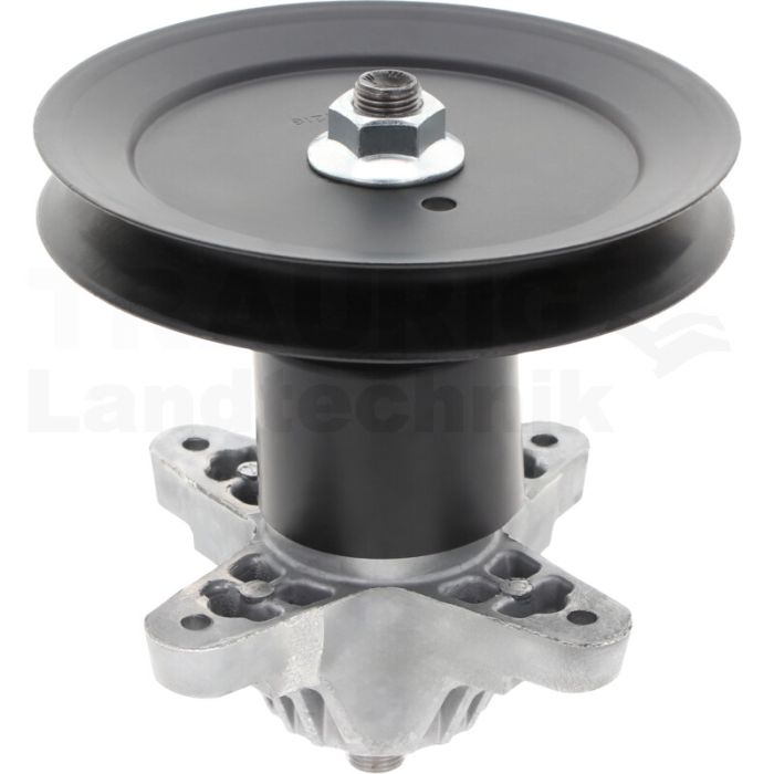 Messerspindel Messerspindel