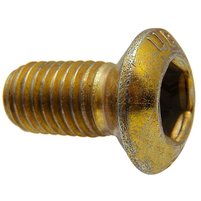 Schuhschraube