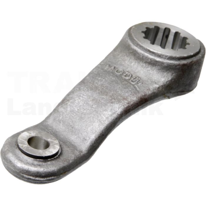Arm