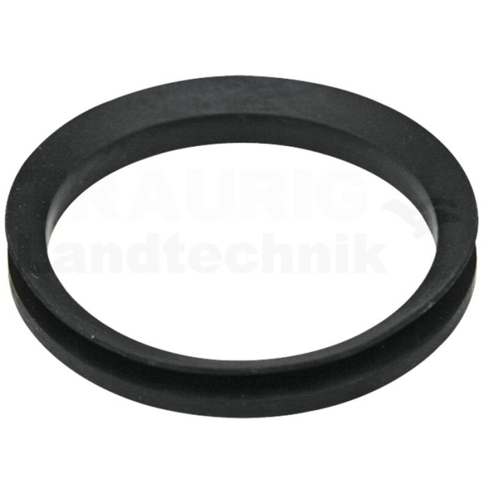 V-Ring V-Ring