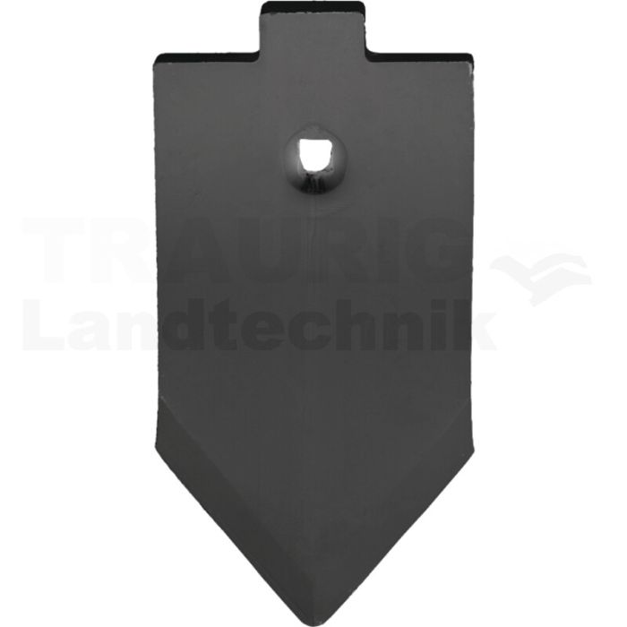Spitze