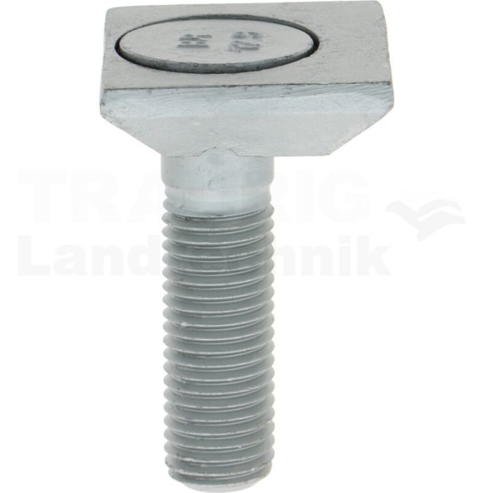 Schraube      M20x75