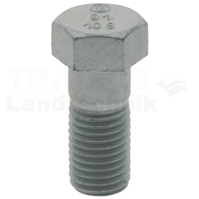 Schraube M 20 Schraube M 20