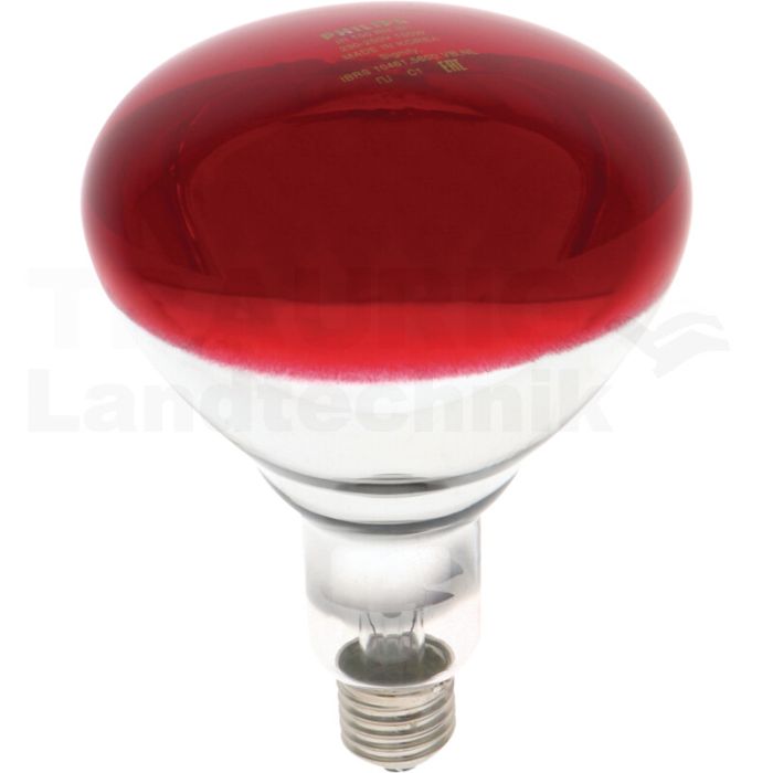 Infrarotlampe