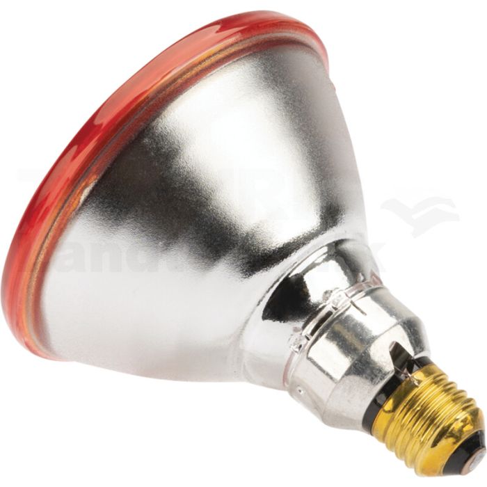 Infrarotlampe Infrarotlampe