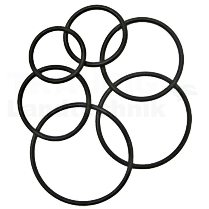 O-Ring