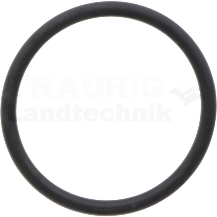 O-Ring