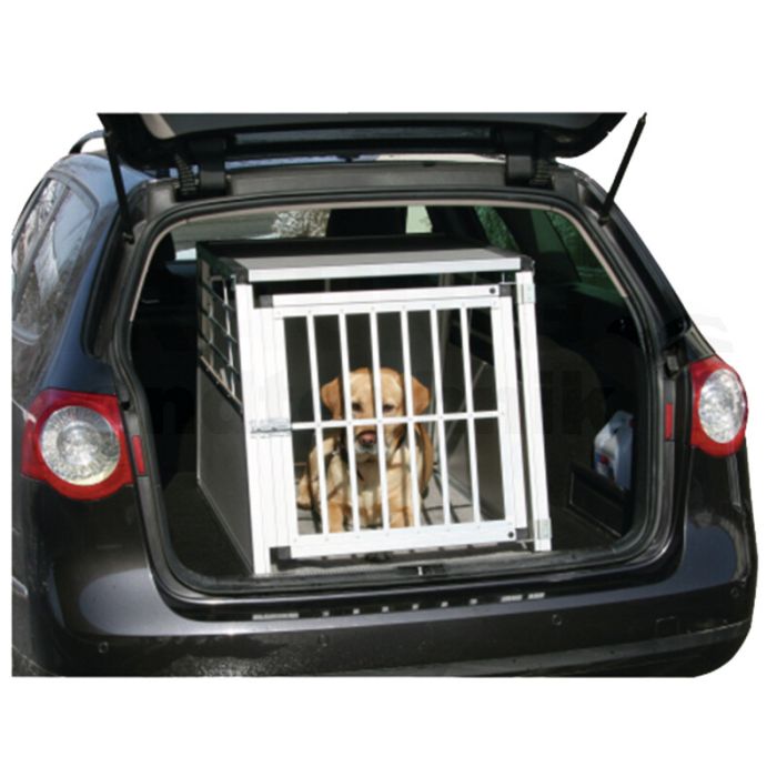 Transportbox