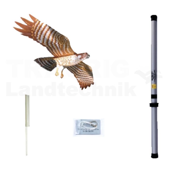 Vogelscheuchendrache Vogelscheuchendrache