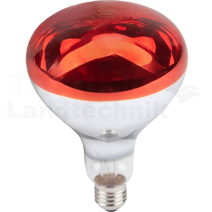 Infrarotglühlampe