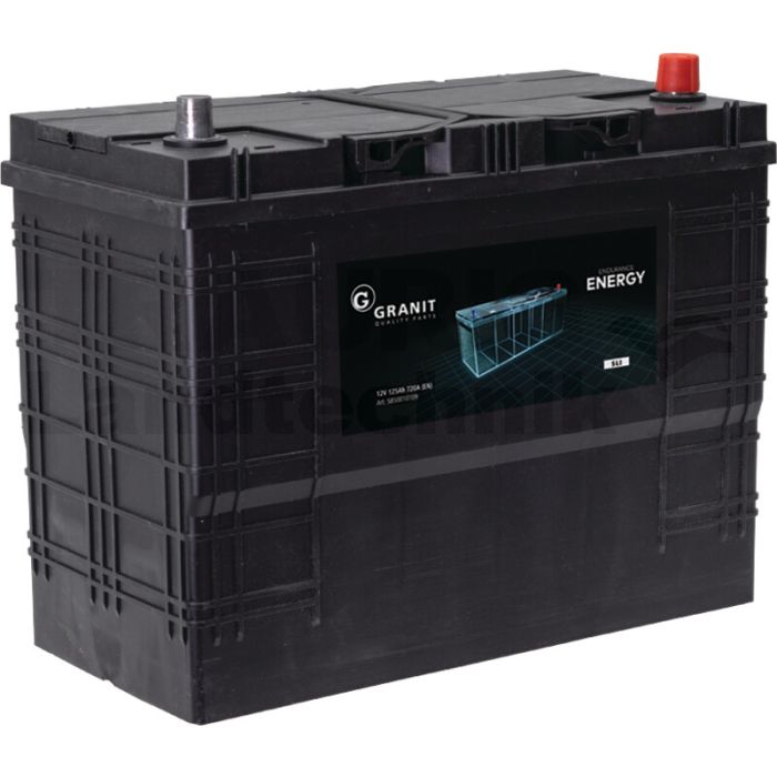 Batterie 12 V / 125 Ah
