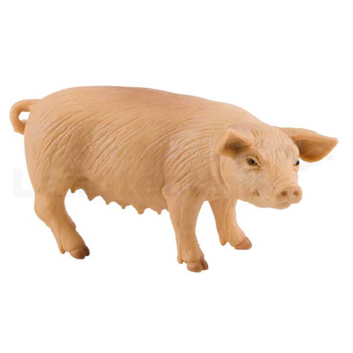 Mutterschwein Mutterschwein