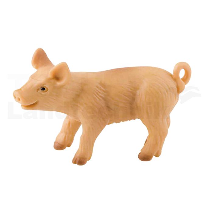 Ferkel Ferkel