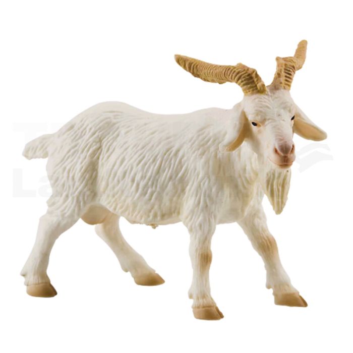 Ziegenbock Ziegenbock