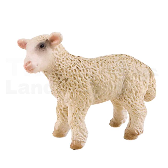 Lamm Lamm