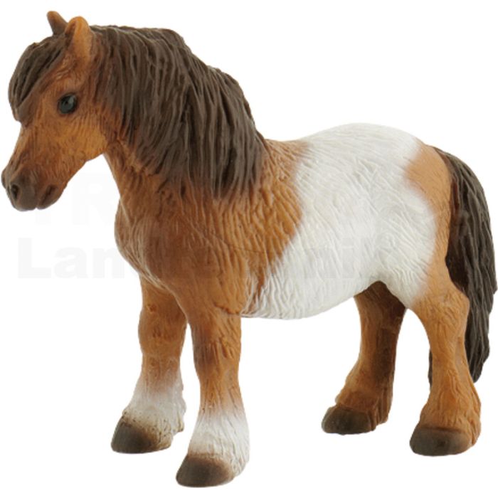 Shetlandpony Shetlandpony