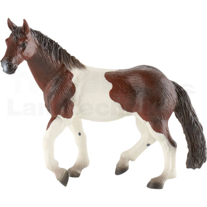 Paint Horse Stute Paint Horse Stute