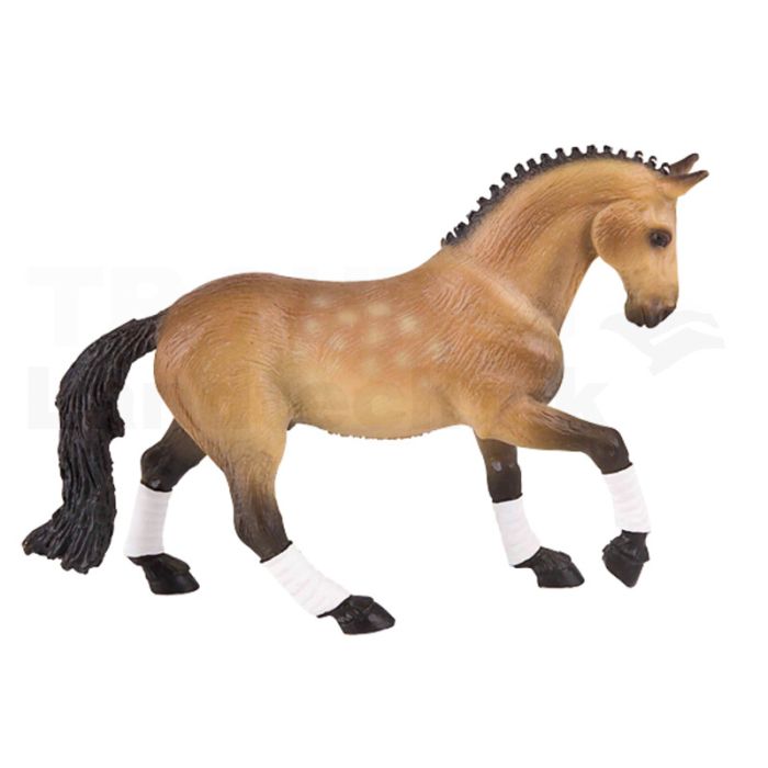 Trakehner Wallach Trakehner Wallach