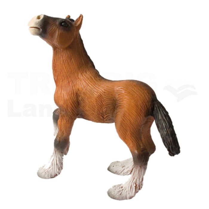 Shire Horse Fohlen Shire Horse Fohlen