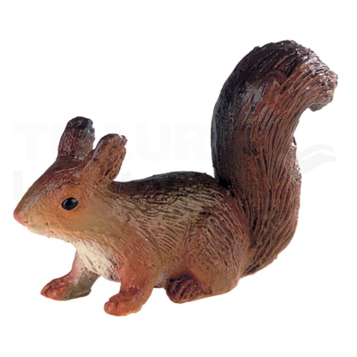 Eichhörnchen Eichhörnchen