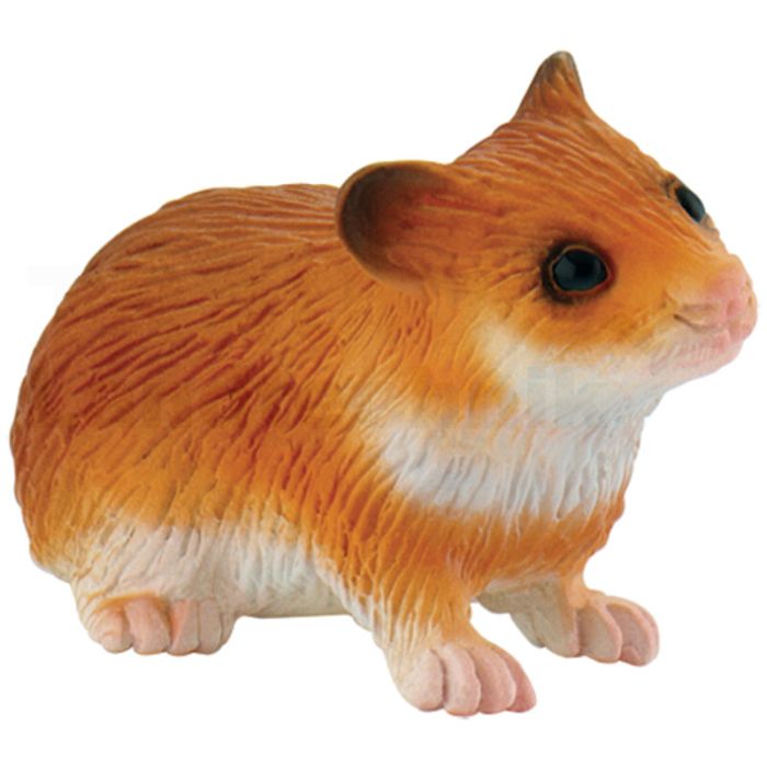 Hamster Hamster