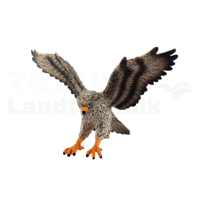 Mäusebussard Mäusebussard