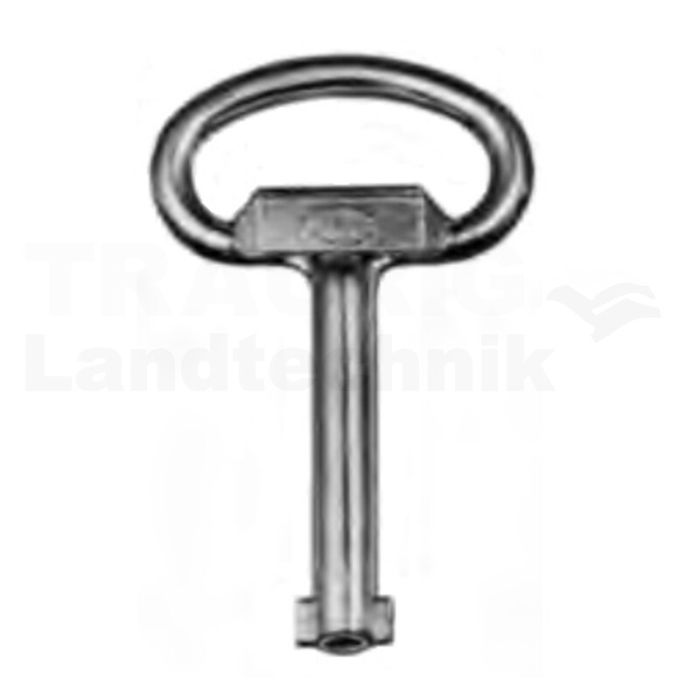 Doppelbartschlüssel 5mm Dorn
