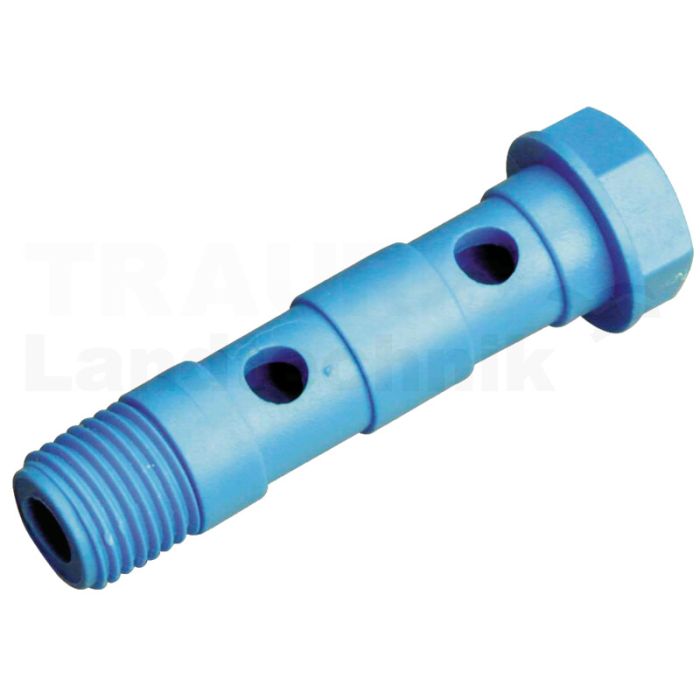A-H2-1/8-PP P - Hohlschraube 2-fach