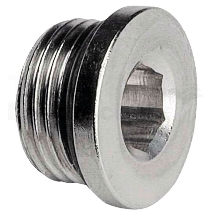 F-VIS-1/4-MSv Verschluss-Schraube
