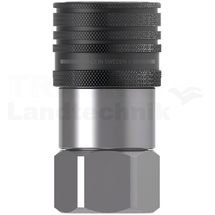 Serie X66 Muffe IG 3/4" BSP - FKM Edelstahl