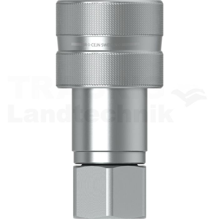 Muffe IG 3/8" NPT