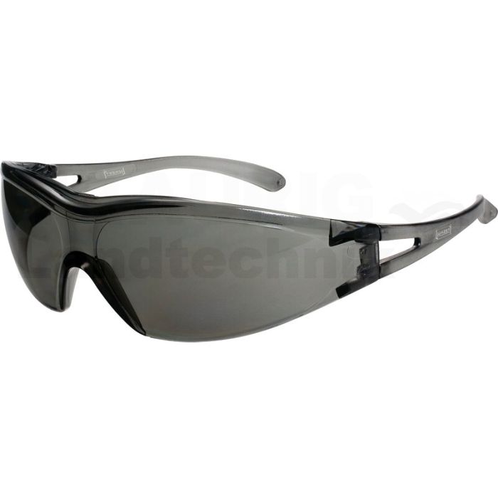 Schutzbrille