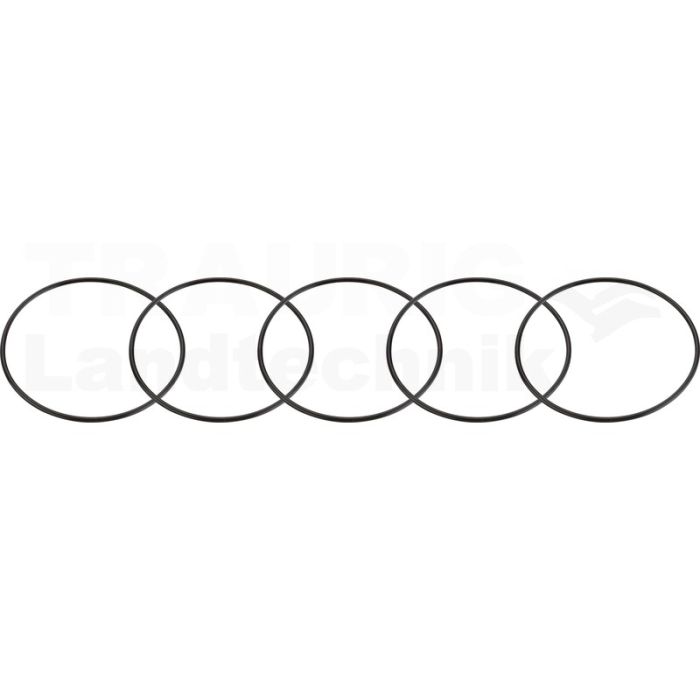 Viton Dichtring-Satz