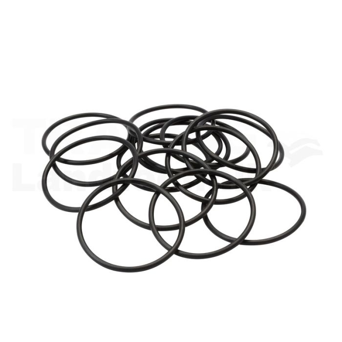 O-Ring
