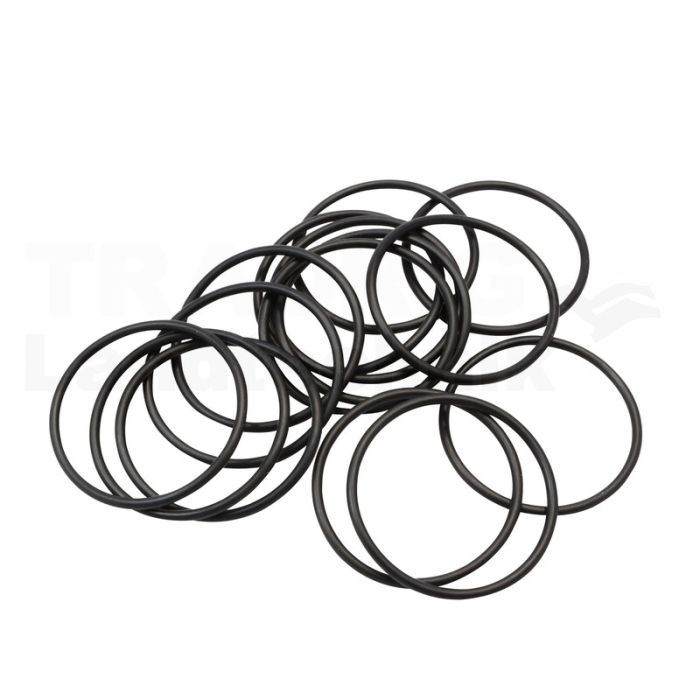 O-Ring