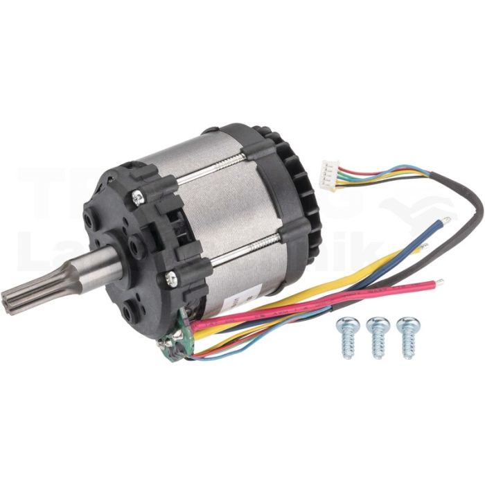 Motor