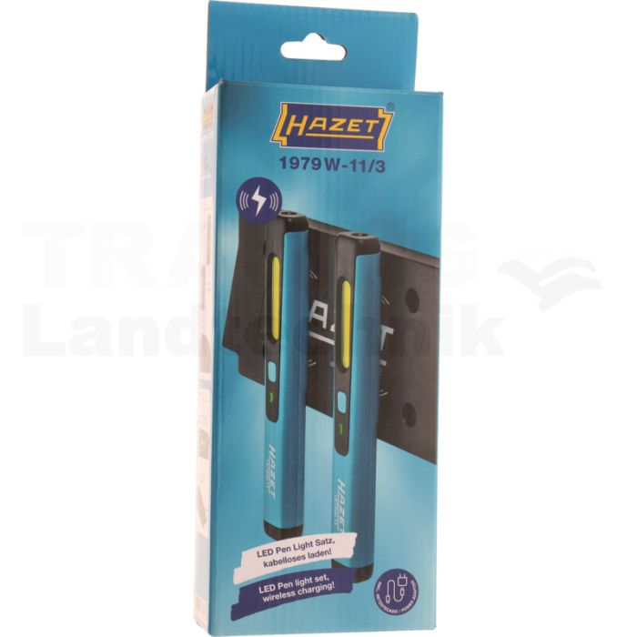 LED Pen Light Satz