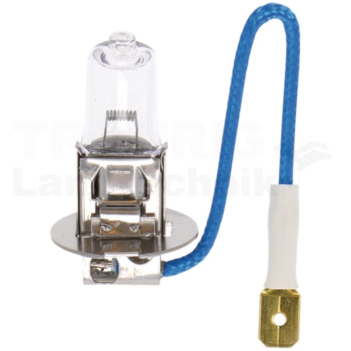 Halogenlampe H3