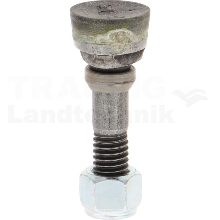 Grinder Tooth Grinder Tooth