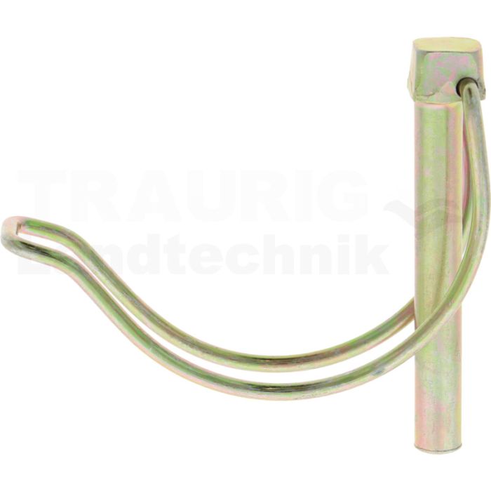 Federsplint